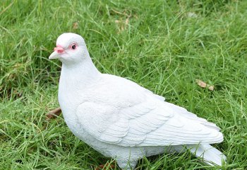 鴿子雕塑-草坪花園創意玻璃鋼樹脂裝飾品鴿子雕塑