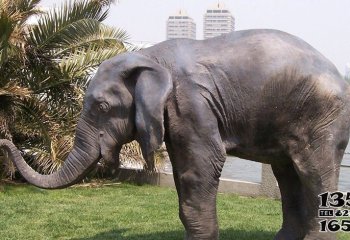 大象雕塑-公園仿真動物景觀大象雕塑