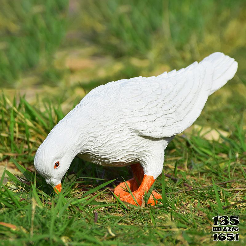 鴿子雕塑-公園戶外景區(qū)創(chuàng)意玻璃鋼仿真覓食鴿子雕塑高清圖片